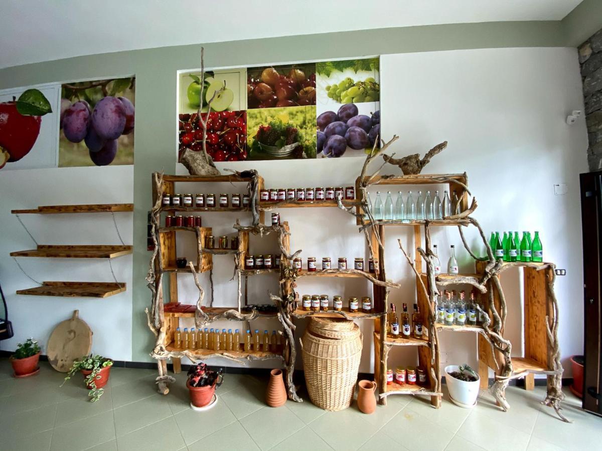Nena Dashuri Agroturizem Peshkopi Exterior foto